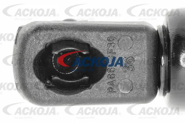 Gas Spring, boot/cargo area