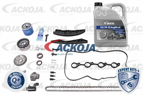 Timing Chain Kit (A52-10001-XXL)