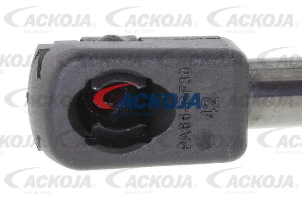 Gas Spring, boot/cargo area