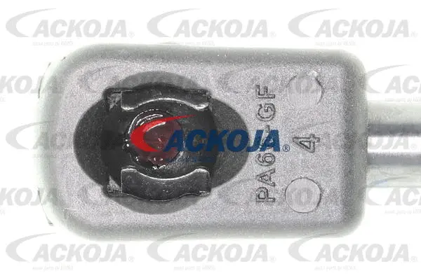 Gas Spring, boot/cargo area