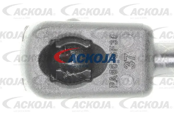 Gas Spring, boot/cargo area