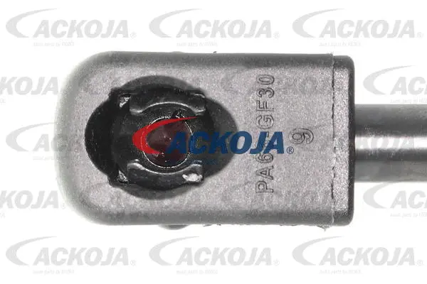 Gas Spring, boot/cargo area