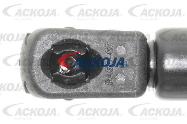 Gas Spring, boot/cargo area