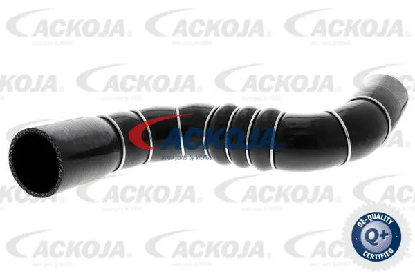 Charge Air Hose (A38-9602)