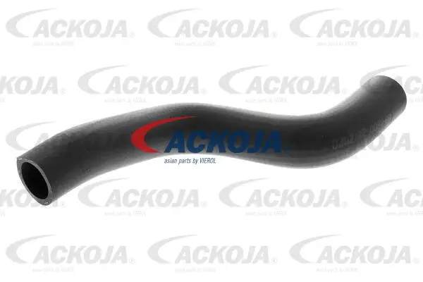 Radiator Hose (A38-1600)