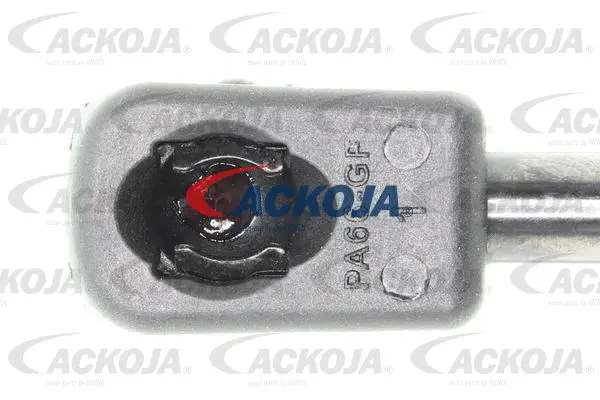 Gas Spring, boot/cargo area