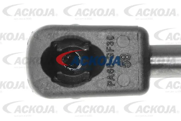 Gas Spring, boot/cargo area