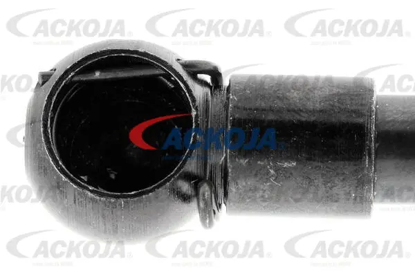 Gas Spring, boot/cargo area