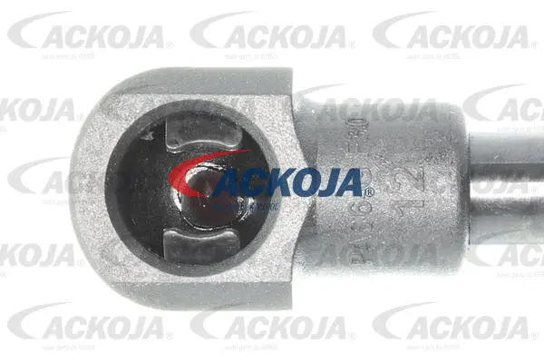 Gas Spring, boot/cargo area