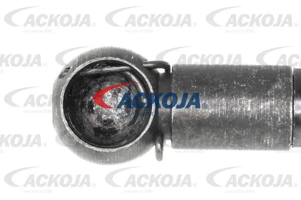 Gas Spring, boot/cargo area