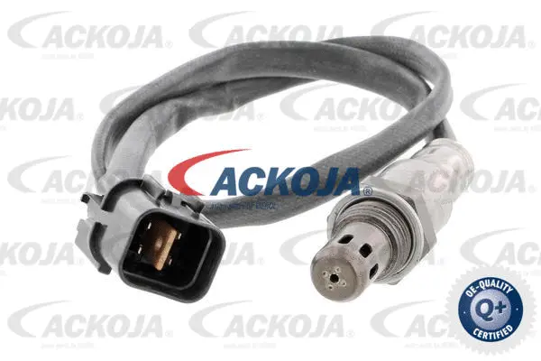 Lambda Sensor (A52-76-0019)