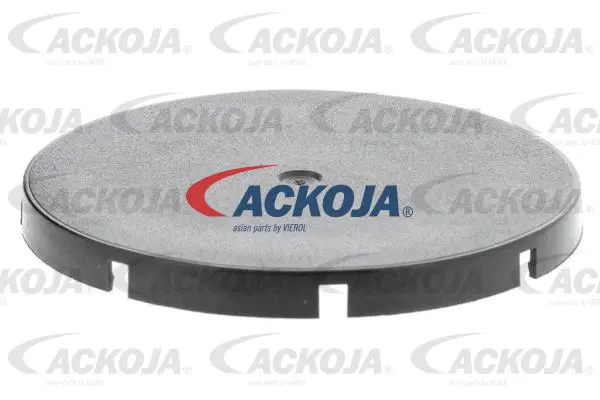 Alternator Freewheel Clutch (A53-23-0001)