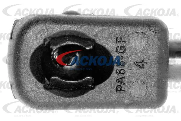 Gas Spring, boot/cargo area