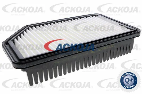 Air Filter (A53-0407)
