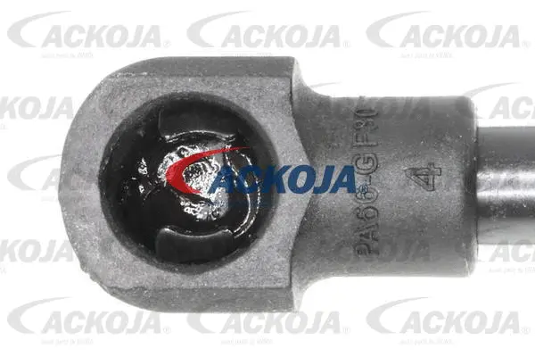 Gas Spring, boot/cargo area