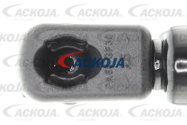 Gas Spring, boot/cargo area