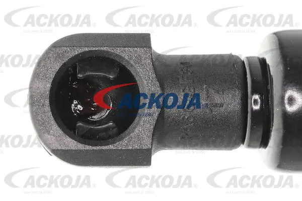 Gas Spring, boot/cargo area