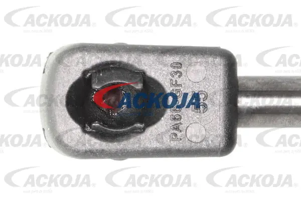 Gas Spring, boot/cargo area