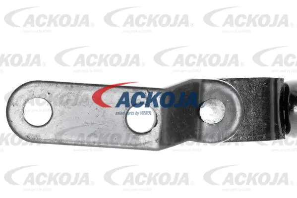 Gas Spring, boot/cargo area