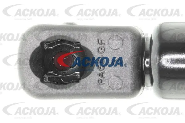 Gas Spring, boot/cargo area