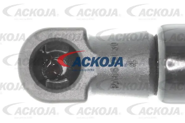 Gas Spring, boot/cargo area