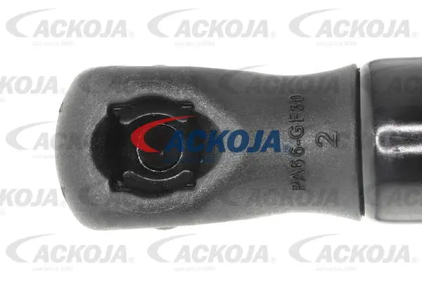 Gas Spring, boot/cargo area