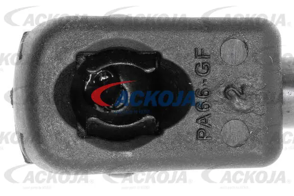 Gas Spring, boot/cargo area