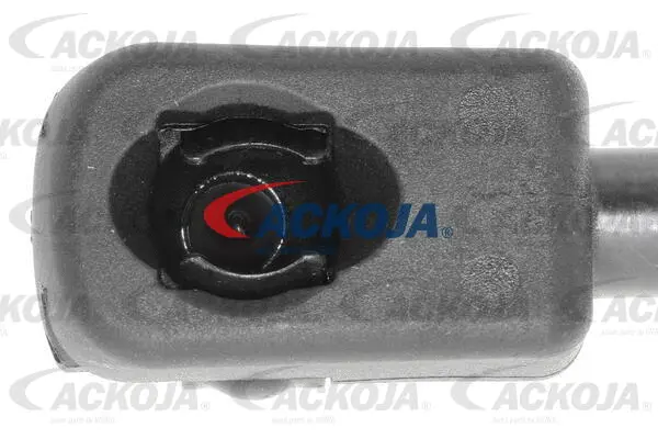 Gas Spring, boot/cargo area