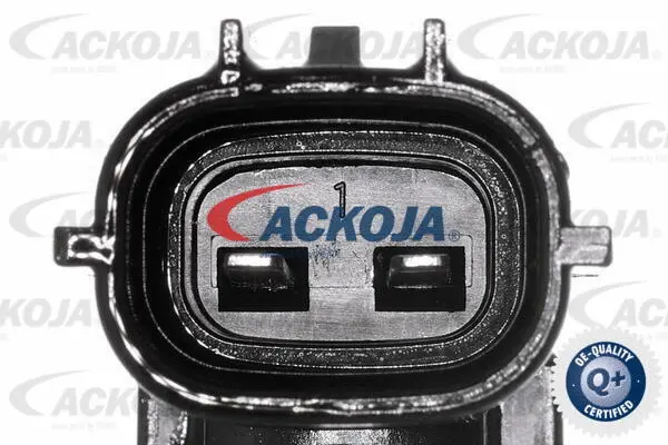 Control Valve, camshaft adjustment