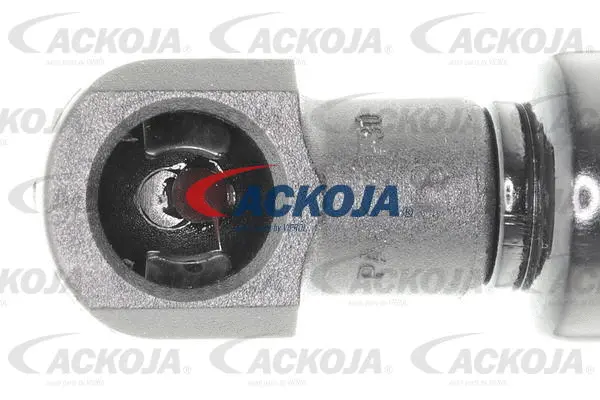 Gas Spring, boot/cargo area