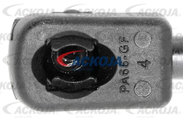 Gas Spring, boot/cargo area