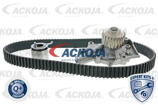 Water Pump & Timing Belt Kit (A51-0201W)