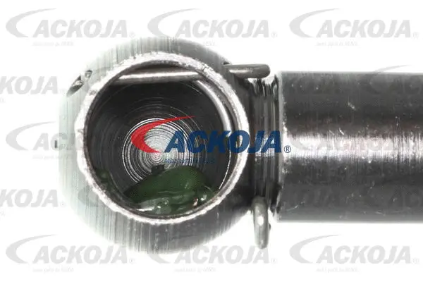 Gas Spring, boot/cargo area