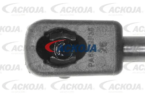 Gas Spring, boot/cargo area