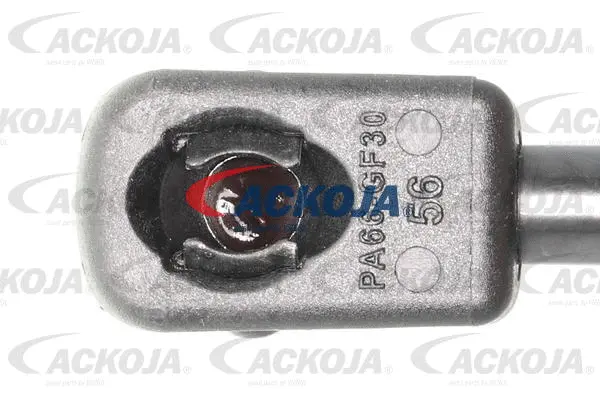 Gas Spring, boot/cargo area