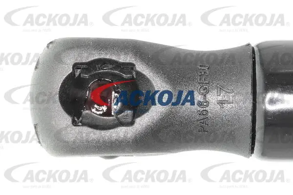 Gas Spring, boot/cargo area