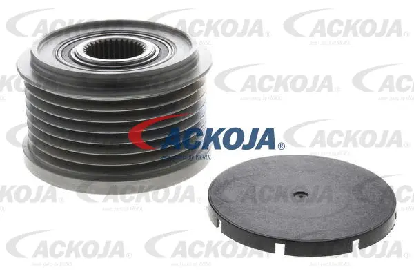 Alternator Freewheel Clutch