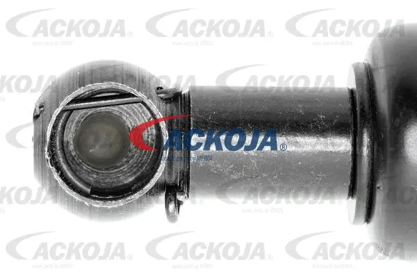 Gas Spring, boot/cargo area