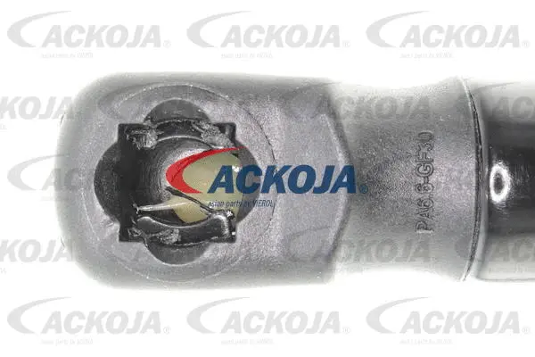 Gas Spring, boot/cargo area