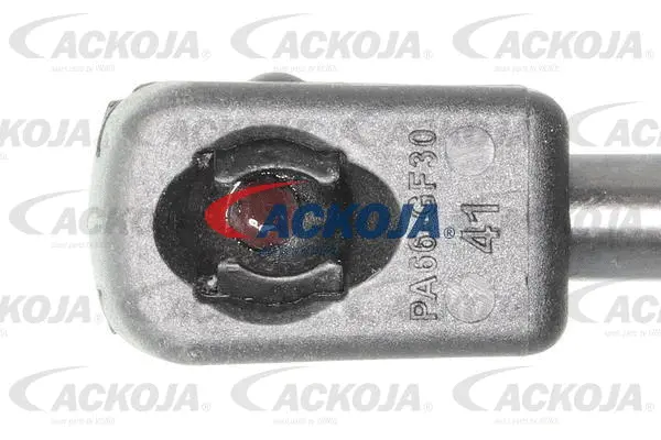 Gas Spring, boot/cargo area