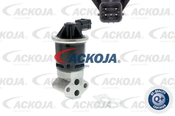 EGR Valve (A51-63-0002)