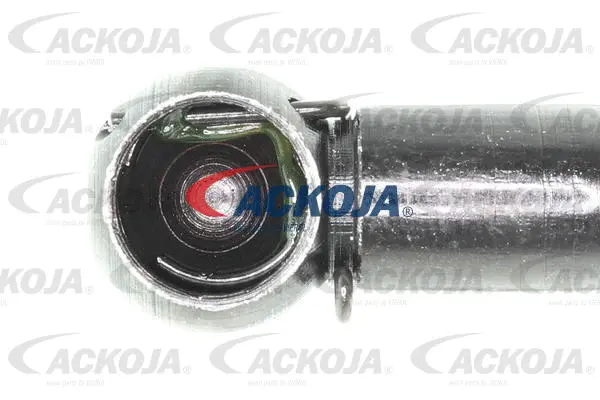 Gas Spring, boot/cargo area