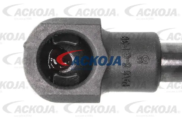 Gas Spring, boot/cargo area