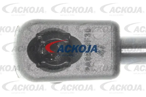 Gas Spring, boot/cargo area