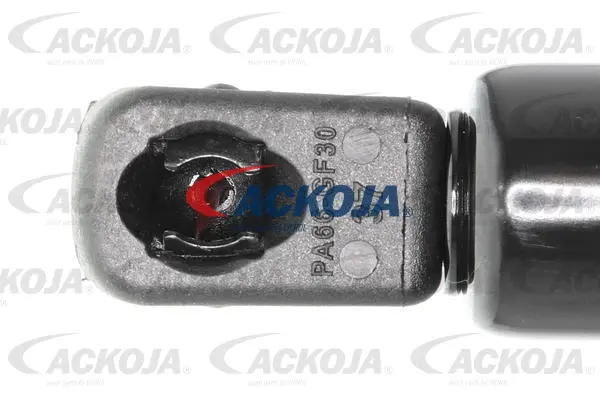 Gas Spring, boot/cargo area