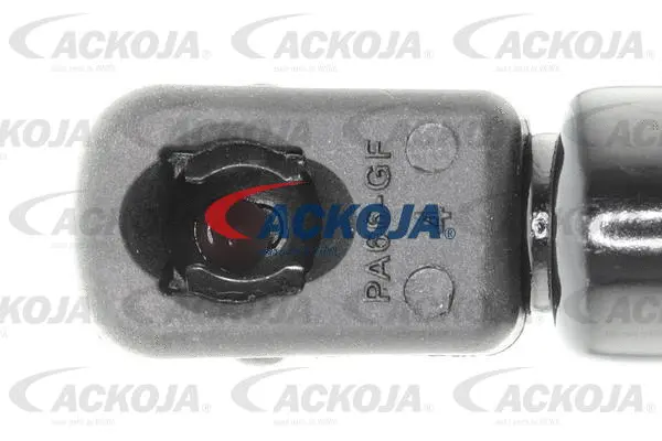 Gas Spring, boot/cargo area