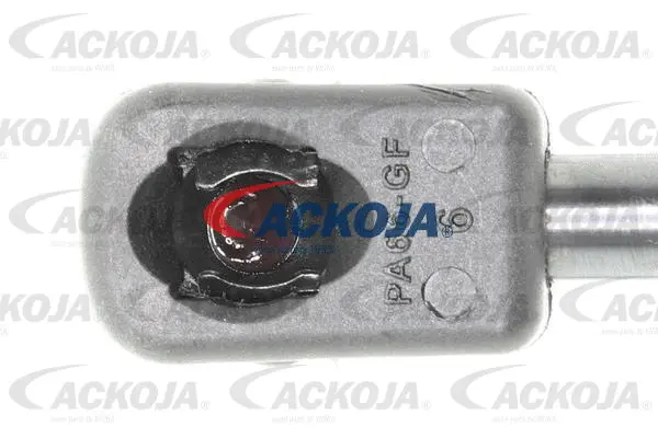 Gas Spring, boot/cargo area