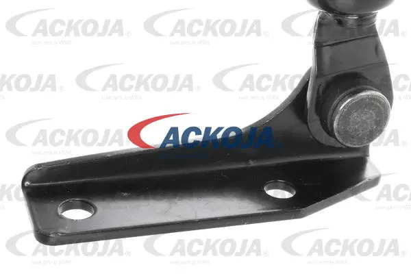 Gas Spring, boot/cargo area