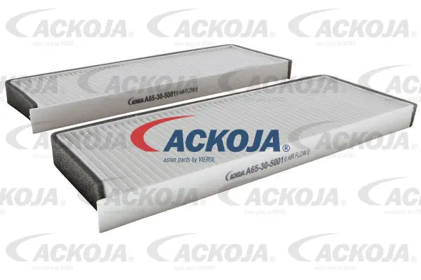 Filter, cabin air (A65-30-5001)