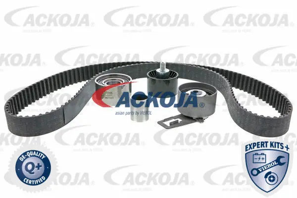 Timing Belt Kit (A53-0201)